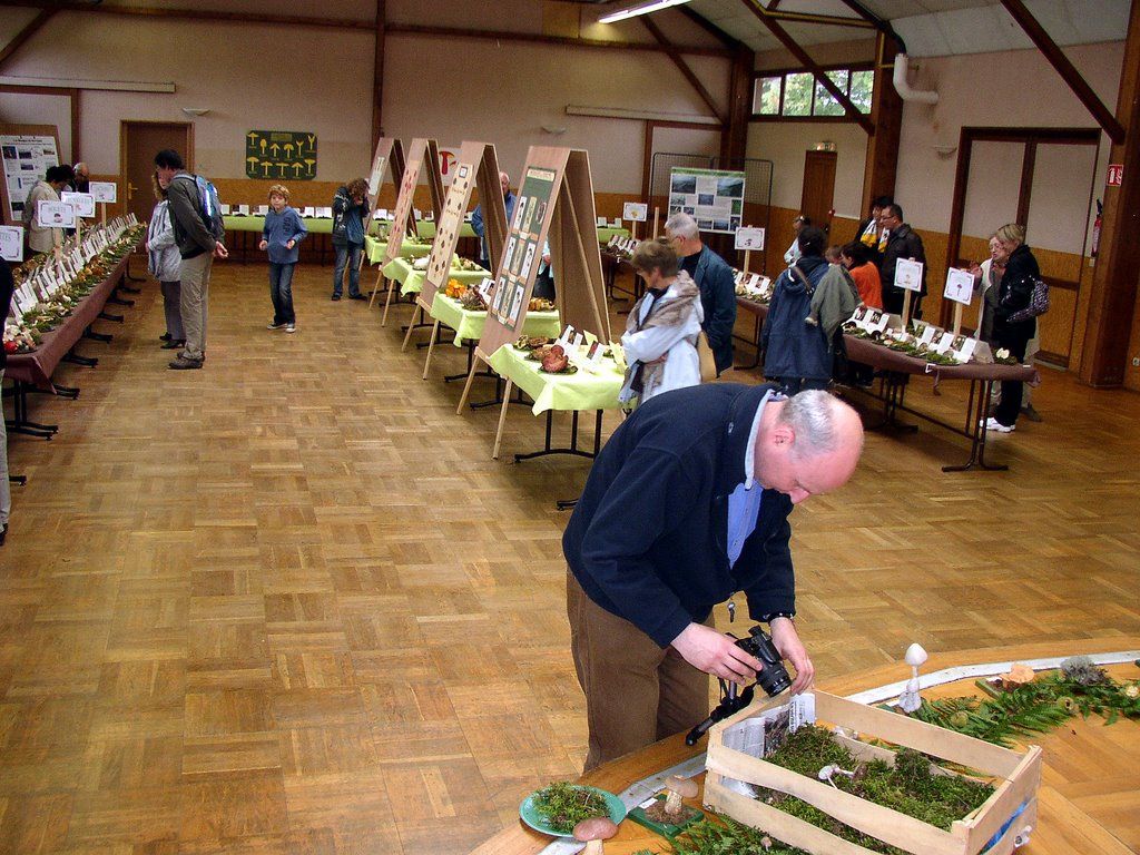 Expo champignons a Conde sur Vesgre 32